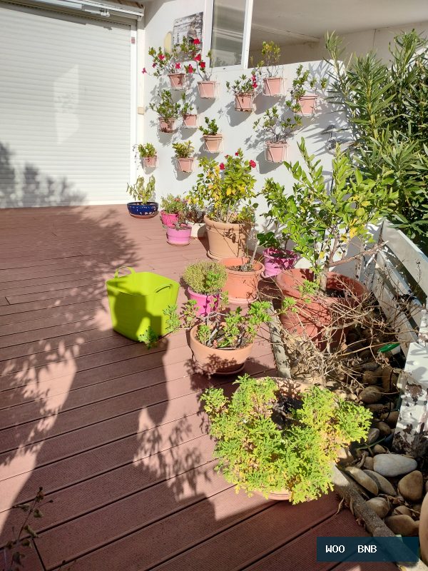 Appartement insolite près du centre à Orléans